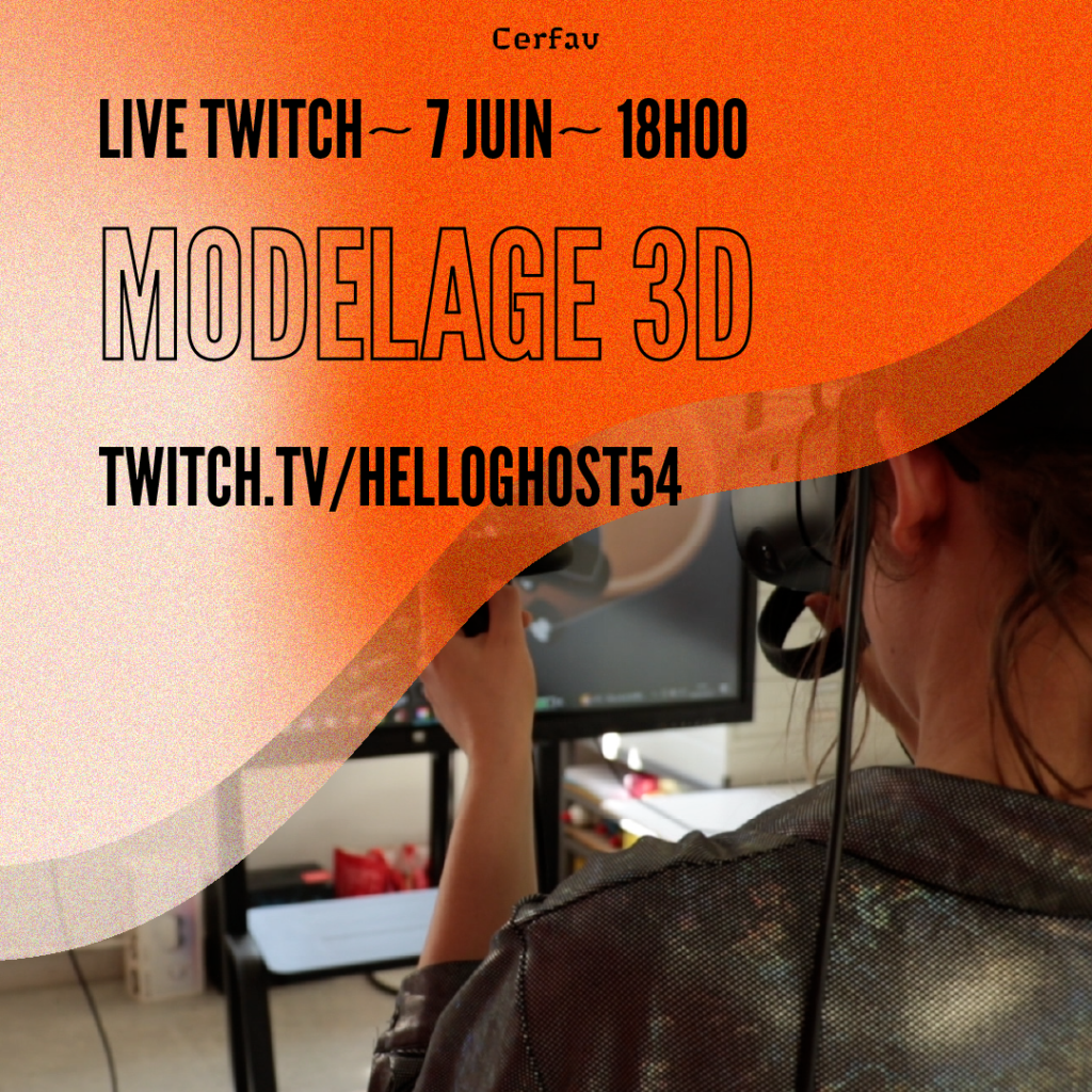 visuel modelage 3D sur twitch